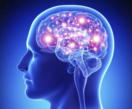 Philosopie des Geistes Philosopie des Geistes